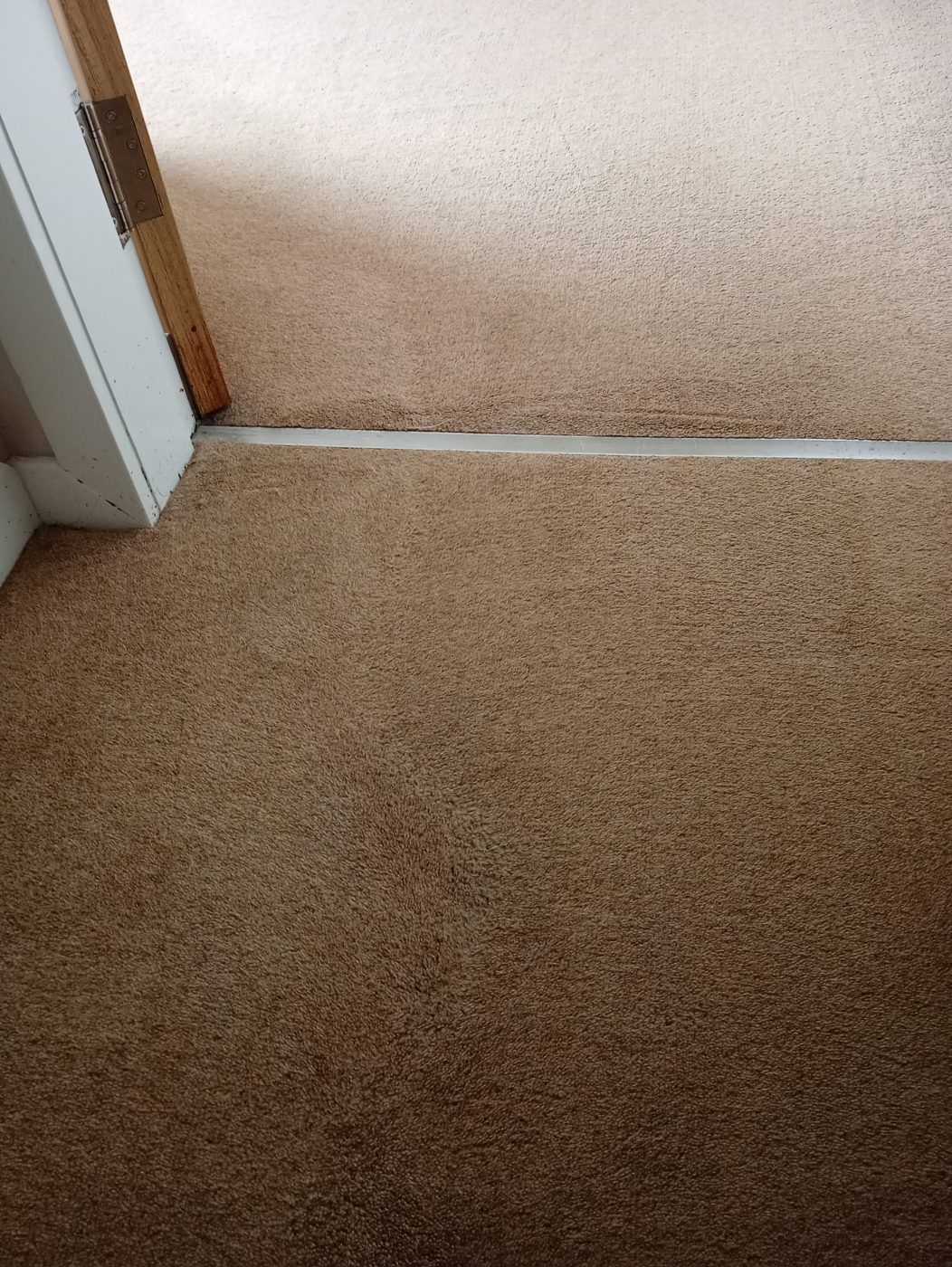Previous job photo for Carpet Upholstery Hard Floor Cleaning